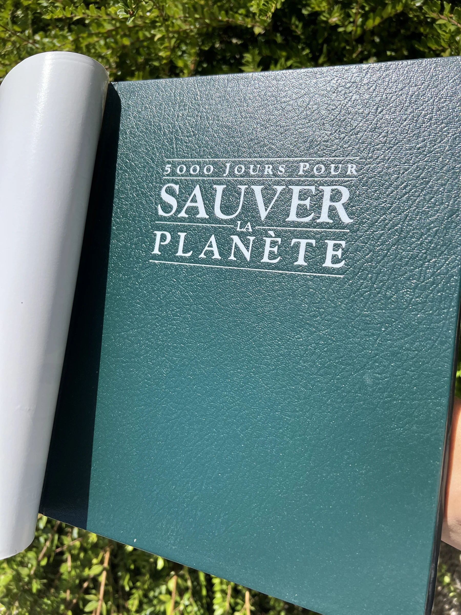 🌍 5000 dagen om de planeet te redden – Geïllustreerd ecologieboek Edward Goldsmith – photo 11